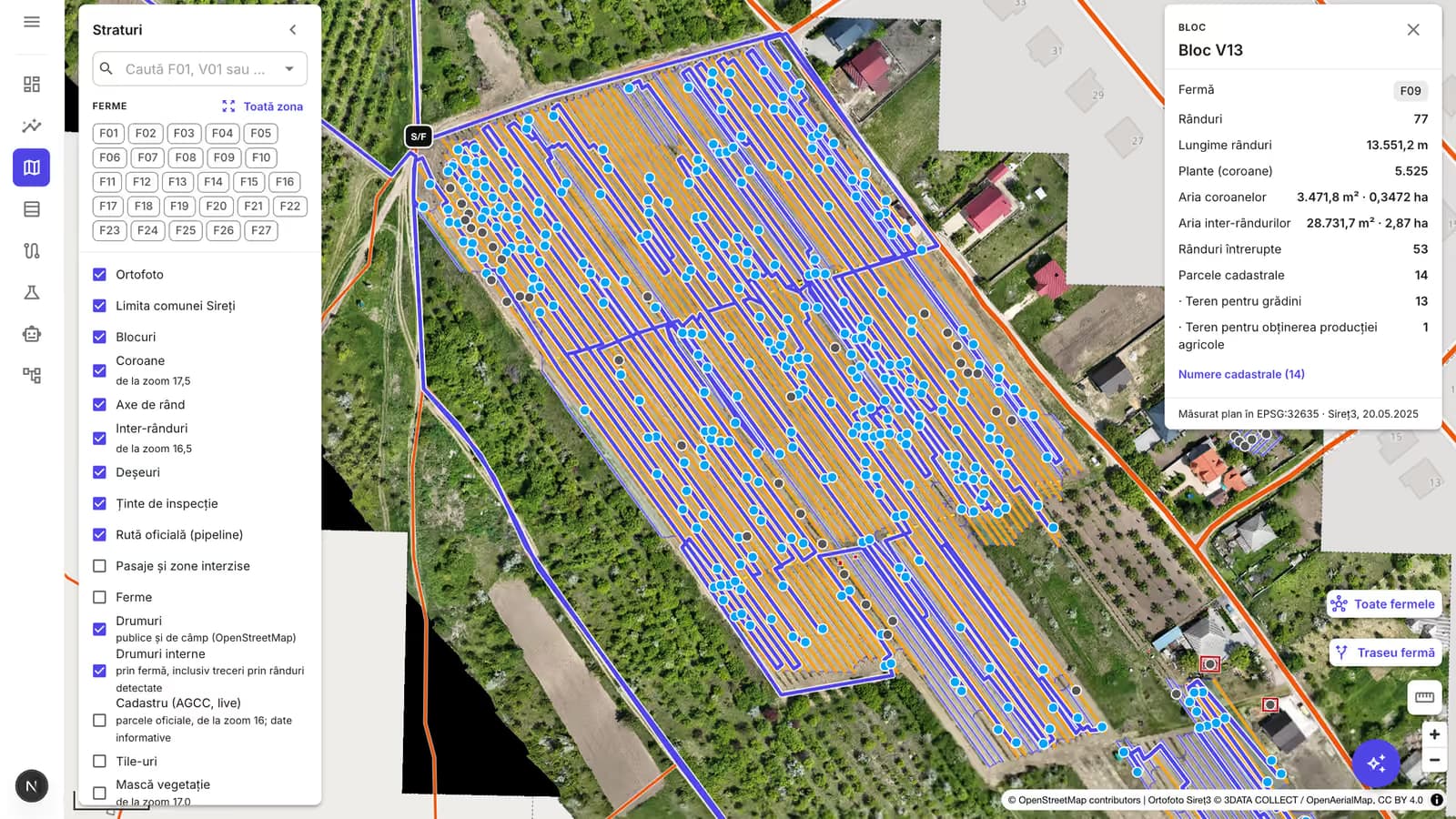 The Vineyard AI web app in Romanian, showing one block of the vineyard on the drone orthophoto: the walking inspection route in purple between the rows, inspection targets as blue dots, the vine rows marked in orange, the layer list on the left and the block’s measurements on the right.